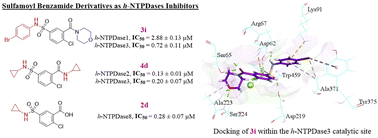 Graphical abstract: Synthesis and biological evaluation of sulfamoyl benzamide derivatives as selective inhibitors for h-NTPDases