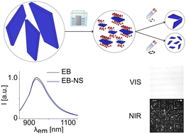 Graphical abstract: Surfactant assisted exfoliation of near infrared fluorescent silicate nanosheets