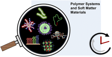 Graphical abstract: Fluorescence-readout as a powerful macromolecular characterisation tool