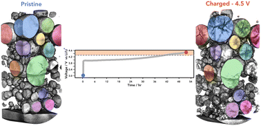 Graphical abstract: Direct observations of electrochemically induced intergranular cracking in polycrystalline NMC811 particles