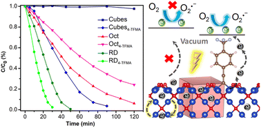 Graphical abstract: Photocatalytic activity enhancement with 4-trifluoromethylphenylacetylene-functionalized Cu2O cubes and rhombic dodecahedra from band structure modulation and use in boronic acid hydroxylation