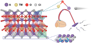 Graphical abstract: High-throughput screening of stable layered anode materials A2TMO3Cl for chloride-ion batteries