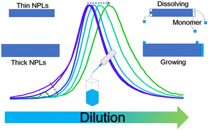Graphical abstract: Emission variation and spontaneous deformation of CsPbBr3 perovskite nanoplatelets at low concentrations