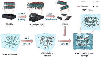 Graphical abstract: Conductive MXene nanocomposite organohydrogels for ultra-stretchable, low-temperature resistant and stable strain sensors