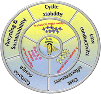 Graphical abstract: Possibilities and challenges of cathode materials for Zn-ion batteries