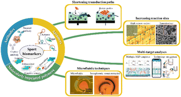 Graphical abstract: Recent advances in nonenzymatic electrochemical biosensors for sports biomarkers: focusing on antibodies, aptamers and molecularly imprinted polymers