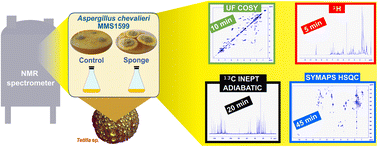 Graphical abstract: Exploring the complementarity of fast multipulse and multidimensional NMR methods for metabolomics: a chemical ecology case study