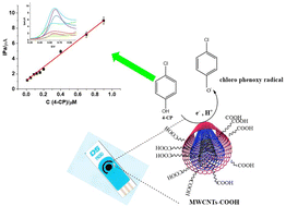 Graphical abstract: Fast and effective assessment of 4-chlorophenol as a persistent organic pollutant (POP) using a multi-walled carbon nanotube-modified screen-printed carbon electrode (C/MWCNT-COOH/SPCE)