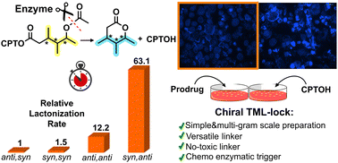 Graphical abstract: A chiral trimethyl lock based on the vicinal disubstituent effect: prolonged release of camptothecin into cancer cells