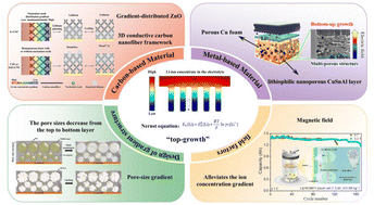 Graphical abstract: Advances in anode current collectors with a lithiophilic gradient for lithium metal batteries