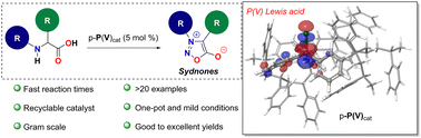 Graphical abstract: Polymer-supported strong Lewis acid phosphonium cation catalysis applied to sydnone synthesis