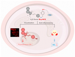 Graphical abstract: A cysteine-activated fluorescent H2S donor for visualizing H2S release and alleviating cellular inflammation