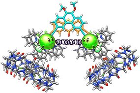 Graphical abstract: Supramolecular self-sorting predicted by a simple harmonic oscillator model