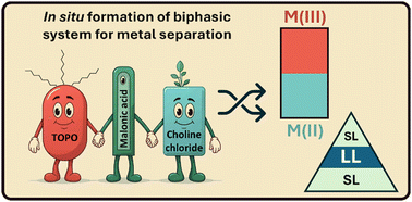 Graphical abstract: Separation of metals using in situ formation of DES–DES biphasic systems