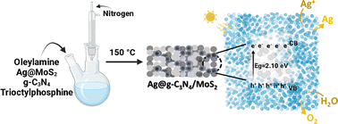 Graphical abstract: Ag@g-C3N4/MoS2 heterostructure for efficient photocatalytic oxygen evolution under visible light irradiation