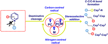 Graphical abstract: Photoinduced stereoselective reactions using pyridinium salts as radical precursors