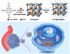 Graphical abstract: Construction of a hydrogen-bonded organic framework-based therapeutic platform by one-pot method
