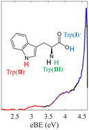 Graphical abstract: Photoelectron spectroscopy of the deprotonated tryptophan anion: the contribution of deprotomers to its photodetachment channels