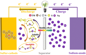 Graphical abstract: Single-atom catalysts based on C2N for sulfur cathodes in Na–S batteries: a first-principles study