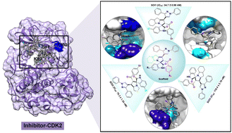 Graphical abstract: Exploring the mechanism of action of spirooxindoles as a class of CDK2 inhibitors: a structure-based computational approach