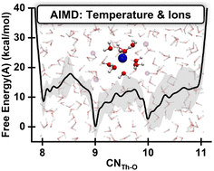 Graphical abstract: Structures of Th4+ aqueous solutions: insights from AIMD and metadynamics simulations
