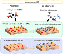 Graphical abstract: Understanding the role of carboxylic acid surfactants in the growth inhibition effect during area-selective atomic layer deposition: the case of ZnO growth on Cu and Cu2O