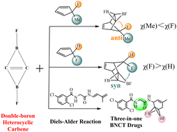 Graphical abstract: Double-boron heterocyclic carbenes: a computational study of Diels–Alder reactions