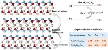 Graphical abstract: Ultrahigh carrier mobility and multidirectional piezoelectricity in 2D Janus copper-containing chalcogenide monolayers