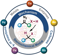Graphical abstract: Mechanism and stereoselectivity in metal and enzyme catalyzed carbene insertion into X–H and C(sp2)–H bonds