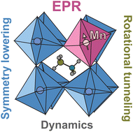 Graphical abstract: Probing structural and dynamic properties of MAPbCl3 hybrid perovskite using Mn2+ EPR