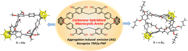 Graphical abstract: The synthesis and application of o-carborane-based macrocyclic arenes