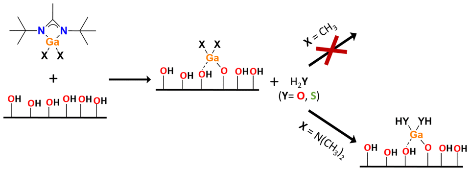 Graphical abstract: Unveiling surface reactivity: the crucial role of auxiliary ligands in gallium amidinate-based precursors for atomic layer deposition