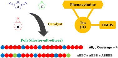 Graphical abstract: Heteroleptic phenoxyimino tin(ii) bis(trimethylsilyl)amides for the synthesis of poly(diester-alt-ethers) from cyclohexene oxide and succinic anhydride