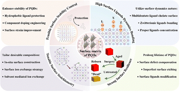 Graphical abstract: Surface matrix regulation of perovskite quantum dots for efficient solar cells