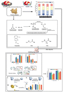 Graphical abstract: The effects of different thermal processing methods on the protein structure and digestibility of Procambarus clarkii