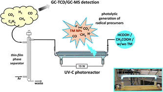 Graphical abstract: Insights into the role of transition and noble metals mediating photochemical vapor generation