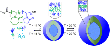 Graphical abstract: The effect of low temperature on poly(3-methyl-N-vinylcaprolactam)-b-poly(N-vinylpyrrolidone) diblock copolymer nanovesicles assembled from all-aqueous media
