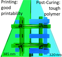 Graphical abstract: Rapid 3D printing of unlayered, tough epoxy–alcohol resins with late gel points via dual-color curing technology