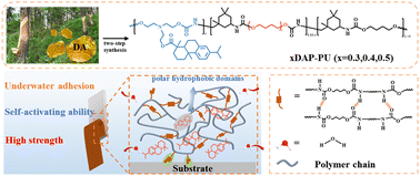 Graphical abstract: High strength, self-activating ability and fast adhesion of polyurethane adhesives based on rosin structure in different environments