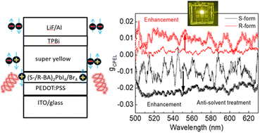 Graphical abstract: Solution-processed spin organic light-emitting diodes based on antisolvent-treated 2D chiral perovskites with strong spin-dependent carrier transport