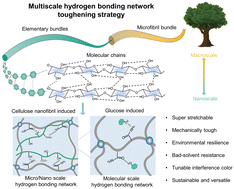 Graphical abstract: Toughening hydrogels through a multiscale hydrogen bonding network enabled by saccharides for a bio-machine interface
