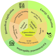 Graphical abstract: From 3D to 4D printing of lignin towards green materials and sustainable manufacturing