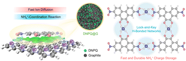 Graphical abstract: Fast and stable NH4+ storage in multielectron H-bonding-acceptor organic molecules for aqueous zinc batteries