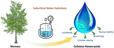 Graphical abstract: Subcritical water digestion of woody biomass: extraction of cellulose nanomaterials under acid-lean condition