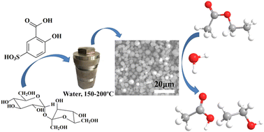 Graphical abstract: Sulfonated sucrose-derived carbon: efficient carbocatalysts for ester hydrolysis