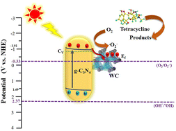 Graphical abstract: Defect-assisted surface modification of a g-C3N4@WC heterostructure for tetracycline degradation: DFT calculations, degradation pathways, and nematode-based ecological assessment