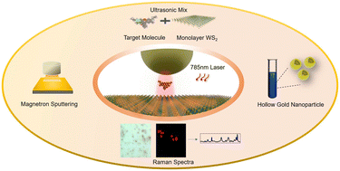 Graphical abstract: Hollow Au nanoparticles for single-molecule Raman spectroscopy via a synergistic electromagnetic and chemical enhancement strategy