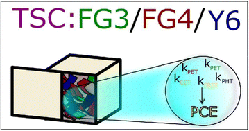 Graphical abstract: Elementary processes in ternary solar cells