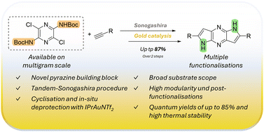 Graphical abstract: Modular synthetic strategies for dipyrrolopyrazines