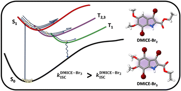 Graphical abstract: Probing intersystem crossing in multi-brominated eumelanin through transient absorption and surface hopping dynamics